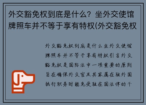外交豁免权到底是什么？坐外交使馆牌照车并不等于享有特权(外交豁免权百科)