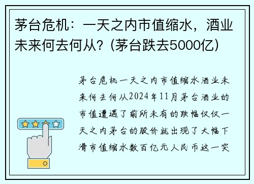 茅台危机：一天之内市值缩水，酒业未来何去何从？(茅台跌去5000亿)